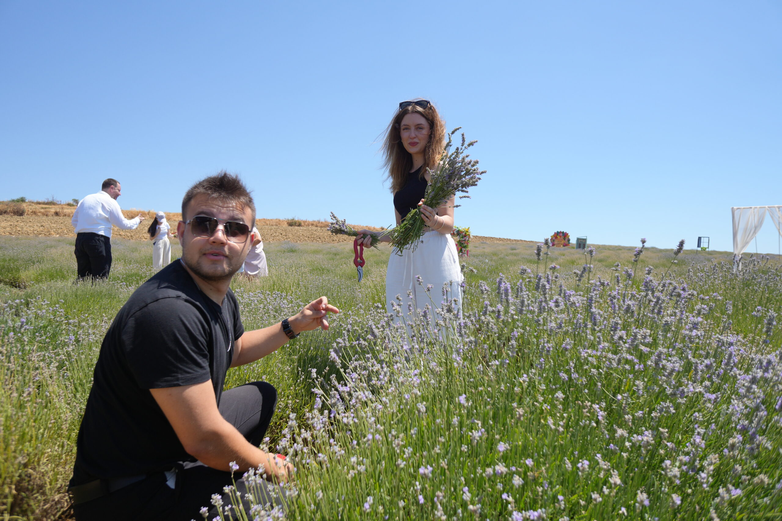 2025 Lavanta Hasat Etkinliği Tekirdağ - Görsel 6